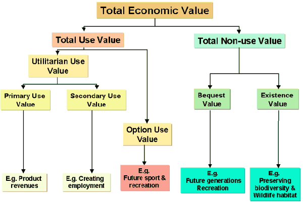 literature review contingent valuation method